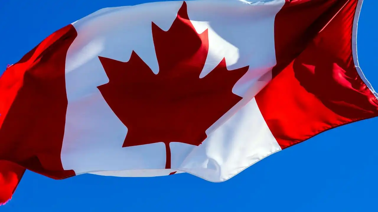 Best Quebecois Music And Musicians For Language Learners