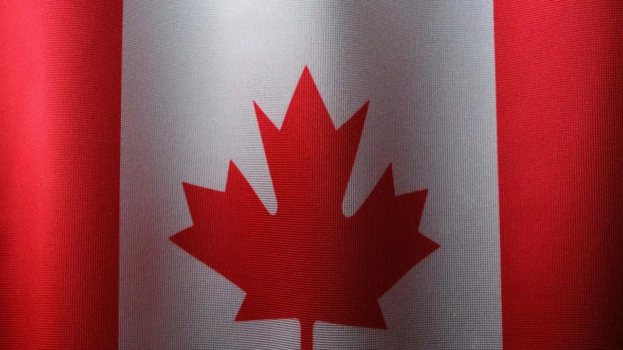 Business French In Quebec: Office Vocabulary And Etiquette