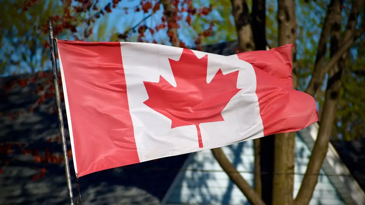 How To Use Quebecois Filler Words Like Tsé, Faque, And Genre